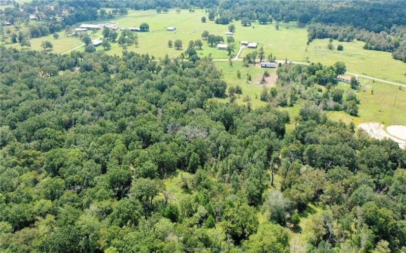 8890 Goose Prairie Road, Midway, TX 75852, 3 Habitaciones Habitaciones , ,2 BañosBaños,Residential,En Venta,8890 Goose Prairie Road,0,25009783