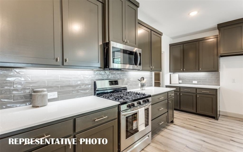4800 Lunker Street, McKinney, TX 75071, 3 Bedrooms Bedrooms, ,2 BathroomsBathrooms,Residential,For Sale,4800 Lunker Street,0,21055409