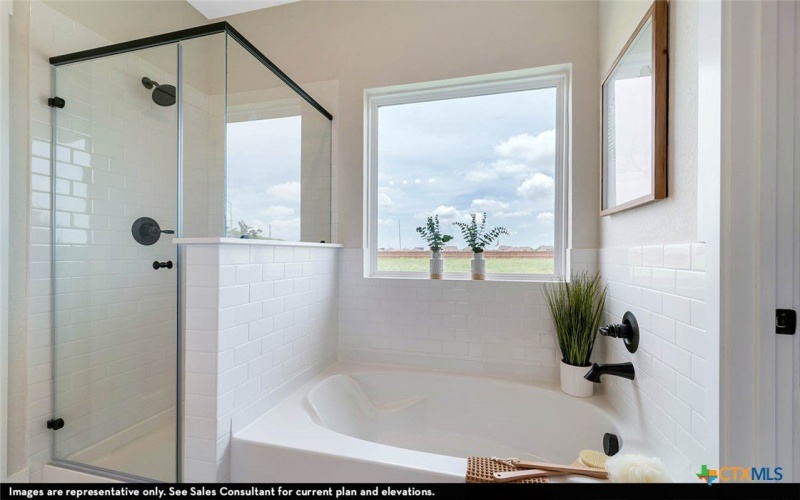408 Jills Path, Seguin, TX 78155, 4 Habitaciones Habitaciones , ,2 BañosBaños,Residential,En Venta,408 Jills Path,0,592213