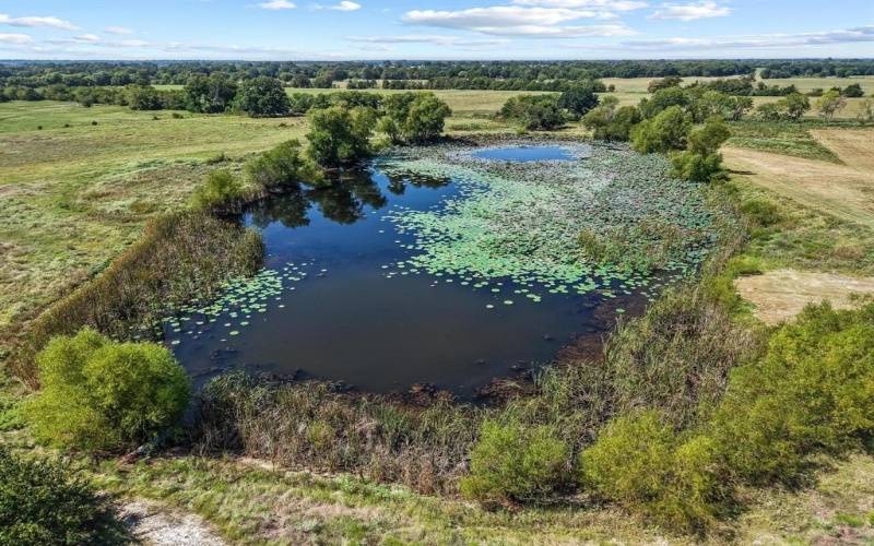 486 Tract 4 & 5 Private Road 4402, Commerce, TX 75428, ,Residential,For Sale,486 Tract 4 & 5 Private Road 4402,0,21058154