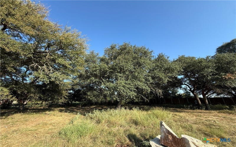 11012 Eagle Walk Boulevard, Salado, TX 76571, 4 Habitaciones Habitaciones , ,5 BañosBaños,Residential,En Venta,11012 Eagle Walk Boulevard,0,592511
