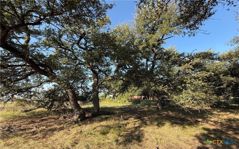 11012 Eagle Walk Boulevard, Salado, TX 76571, 4 Habitaciones Habitaciones , ,5 BañosBaños,Residential,En Venta,11012 Eagle Walk Boulevard,0,592511