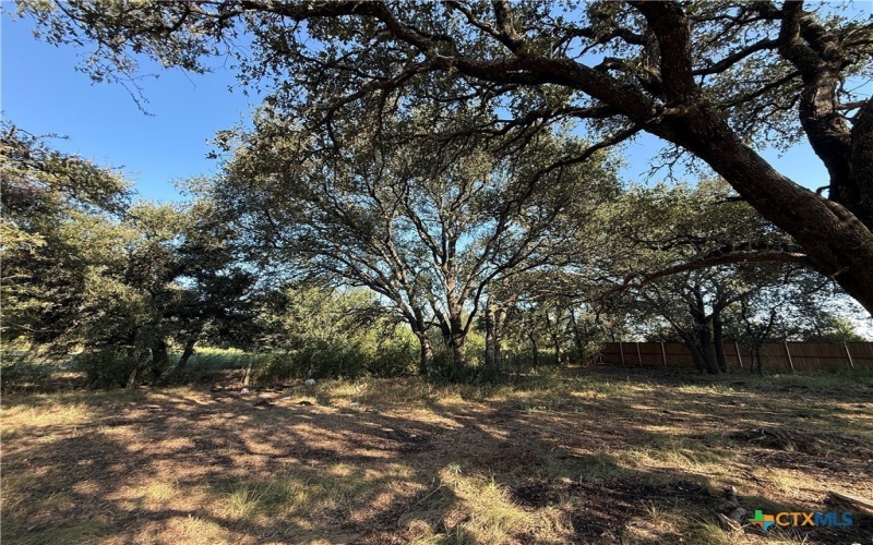 11012 Eagle Walk Boulevard, Salado, TX 76571, 4 Habitaciones Habitaciones , ,5 BañosBaños,Residential,En Venta,11012 Eagle Walk Boulevard,0,592511