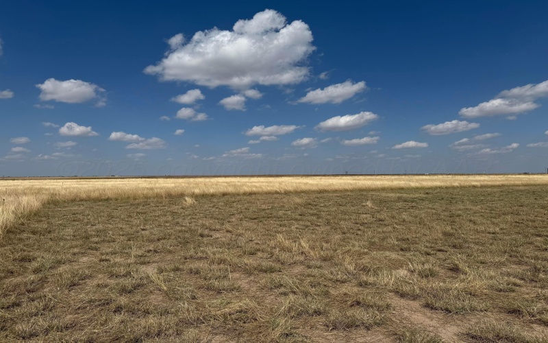 10350 Raven Tree Road, Amarillo, TX 79118, 3 Bedrooms Bedrooms, ,2 BathroomsBathrooms,Residential,For Sale,10350 Raven Tree Road,0,25-8018