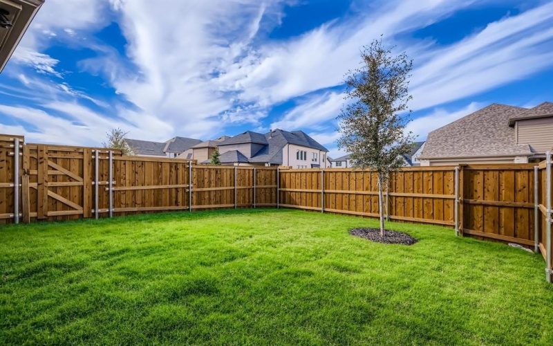 4413 Script Street, Celina, TX 75078, 4 Bedrooms Bedrooms, ,3 BathroomsBathrooms,Residential,For Sale,4413 Script Street,0,21064065
