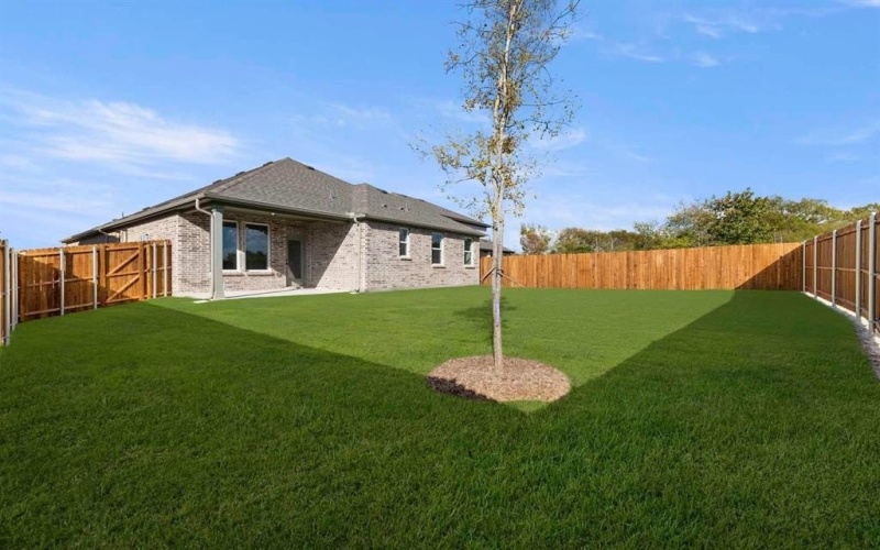 4307 Marsh Hawk Drive, Melissa, TX 75454, 4 Habitaciones Habitaciones , ,3 BañosBaños,Residential,En Venta,4307 Marsh Hawk Drive,0,21065486