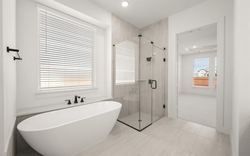 2201 Phoebe, Mansfield, TX 76063, 4 Bedrooms Bedrooms, ,5 BathroomsBathrooms,Residential,For Sale,2201 Phoebe,0,21065820