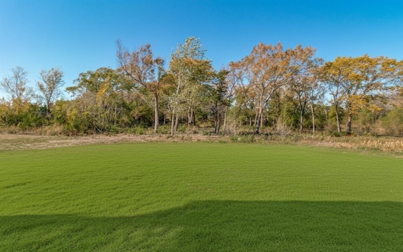 408 Shelby Trail, Bells, TX 75414, 5 Bedrooms Bedrooms, ,5 BathroomsBathrooms,Residential,For Sale,408 Shelby Trail,0,21065862