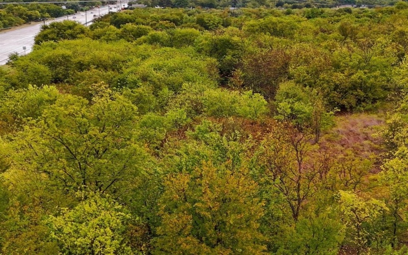 713 S Crowley Road, Crowley, TX 76036, ,Commercial Sale,En Venta,713 S Crowley Road,0,21065869