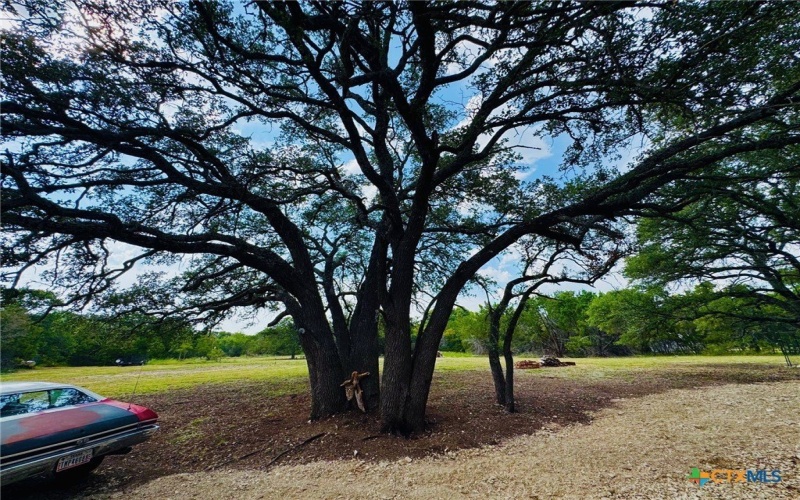 314 Mckenzie, Gatesville, TX 76528, 4 Bedrooms Bedrooms, ,3 BathroomsBathrooms,Residential,For Sale,314 Mckenzie,0,593061