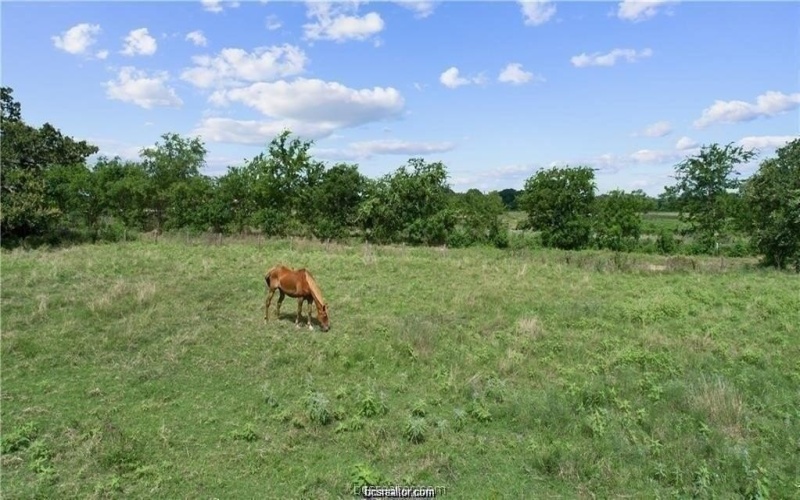 5847 Thousand Oaks Road, College Station, TX 77845, 4 Bedrooms Bedrooms, ,2 BathroomsBathrooms,Residential,For Sale,5847 Thousand Oaks Road,0,25010063