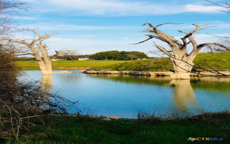 952 Rimrock Cove, Spring Branch, TX 78070, 3 Habitaciones Habitaciones , ,2 BañosBaños,Residential,En Venta,952 Rimrock Cove,0,593275