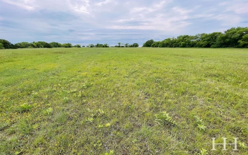 0 McConnell Lot 4 Road, Gunter, TX 75058, ,Tierra,En Venta,0 McConnell Lot 4 Road,0,21068932