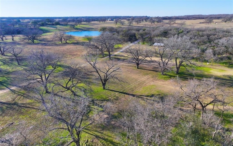 229 W Bluff Lane, Millsap, TX 76066, ,Land,For Sale,229 W Bluff Lane,0,21069234