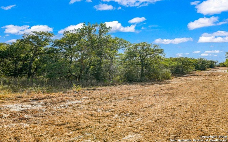 914 Swallows Ln, Seguin, TX 78155, 4 Bedrooms Bedrooms, ,2 BathroomsBathrooms,Residential,For Sale,914 Swallows Ln,0,1910339