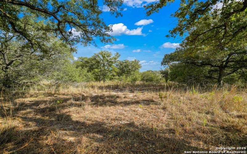 914 Swallows Ln, Seguin, TX 78155, 4 Bedrooms Bedrooms, ,2 BathroomsBathrooms,Residential,For Sale,914 Swallows Ln,0,1910339