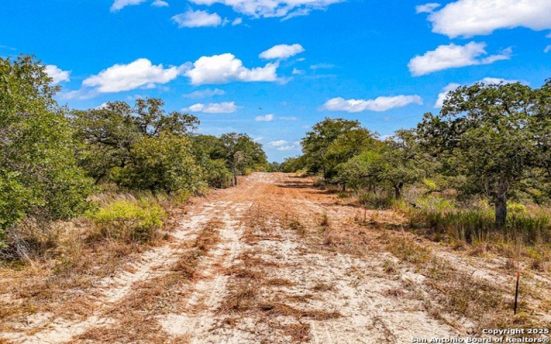 914 Swallows Ln, Seguin, TX 78155, 4 Bedrooms Bedrooms, ,2 BathroomsBathrooms,Residential,For Sale,914 Swallows Ln,0,1910339
