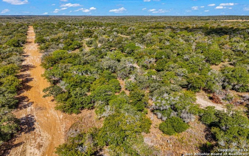 914 Swallows Ln, Seguin, TX 78155, 4 Bedrooms Bedrooms, ,2 BathroomsBathrooms,Residential,For Sale,914 Swallows Ln,0,1910339