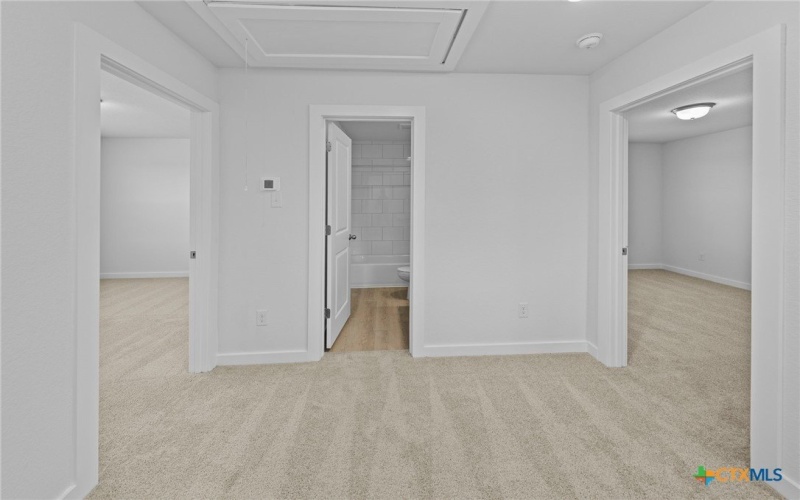 641 Salamander Street, San Marcos, TX 78666, 3 Bedrooms Bedrooms, ,2 BathroomsBathrooms,Residential,For Sale,641 Salamander Street,0,593747