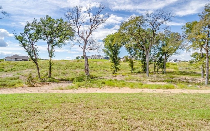 336 Slimp Bluff, Azle, TX 76020, 4 Habitaciones Habitaciones , ,2 BañosBaños,Residential,En Venta,336 Slimp Bluff,0,21068623