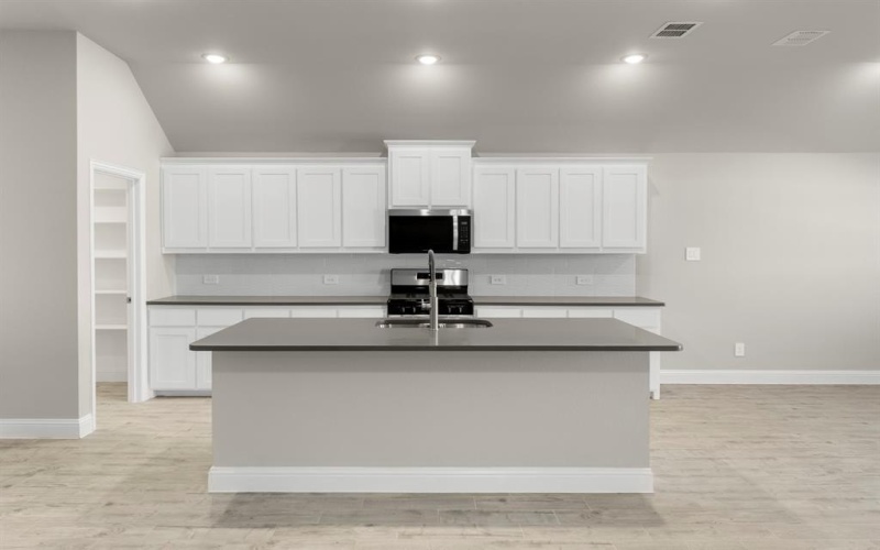 141 Whistling Duck, Balch Springs, TX 75181, 3 Bedrooms Bedrooms, ,2 BathroomsBathrooms,Residential,For Sale,141 Whistling Duck,0,21070992