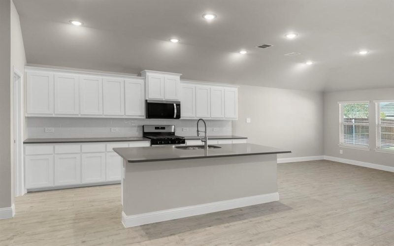 141 Whistling Duck, Balch Springs, TX 75181, 3 Bedrooms Bedrooms, ,2 BathroomsBathrooms,Residential,For Sale,141 Whistling Duck,0,21070992