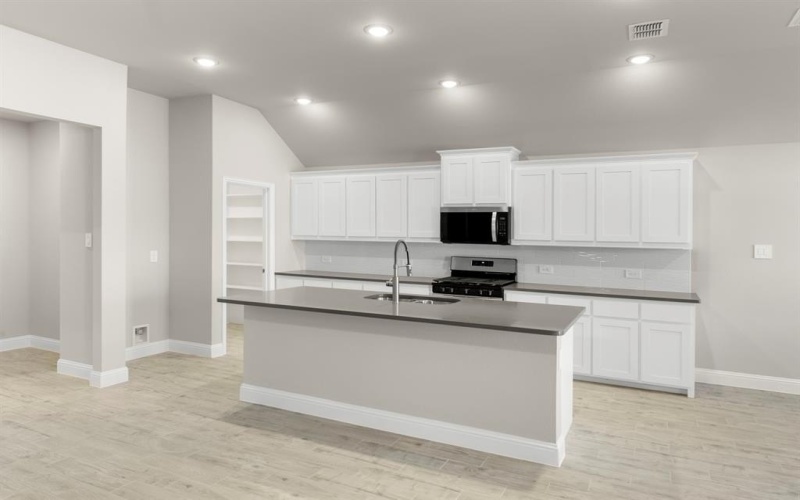 141 Whistling Duck, Balch Springs, TX 75181, 3 Bedrooms Bedrooms, ,2 BathroomsBathrooms,Residential,For Sale,141 Whistling Duck,0,21070992