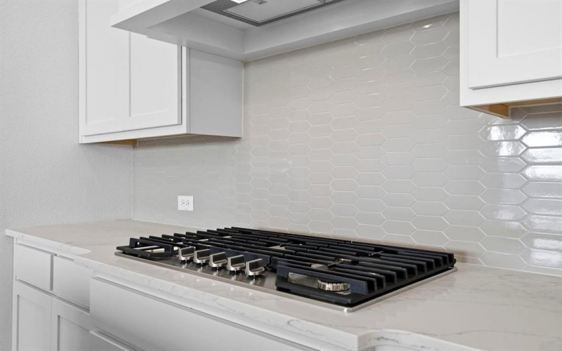 3913 Attwater Street, McKinney, TX 75071, 3 Habitaciones Habitaciones , ,2 BañosBaños,Residential,En Venta,3913 Attwater Street,0,21071015