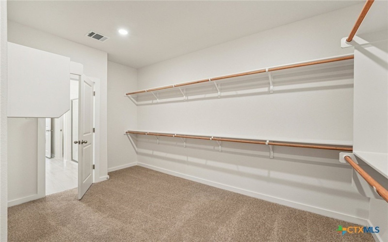 506 Salamander Street, San Marcos, TX 78666, 4 Bedrooms Bedrooms, ,3 BathroomsBathrooms,Residential,For Sale,506 Salamander Street,0,593879