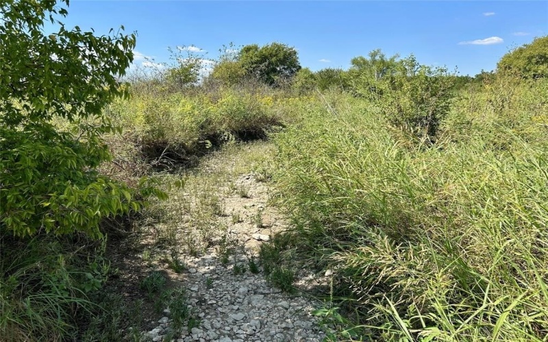 231 Hcr 1206, Blum, TX 76627, 4 Habitaciones Habitaciones , ,2 BañosBaños,Residential,En Venta,231 Hcr 1206,0,21071046