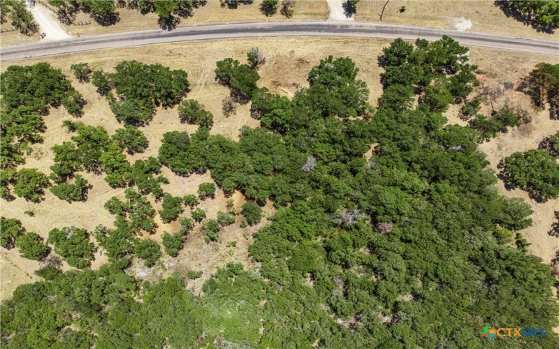 Tbd Owl Creek Park Rd, Gatesville, TX 76528, 4 Habitaciones Habitaciones , ,3 BañosBaños,Residential,En Venta,Tbd Owl Creek Park Rd,0,593217