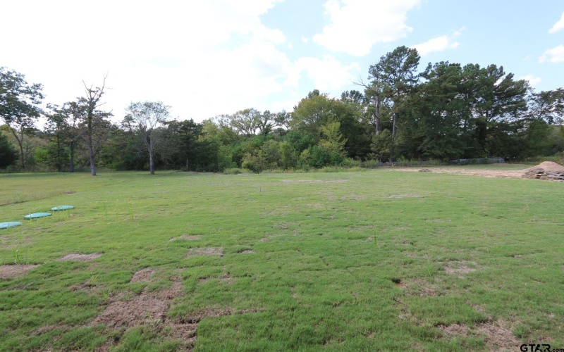 16527 Cooper Way, Tyler, TX 75703, 4 Bedrooms Bedrooms, ,2 BathroomsBathrooms,Residential,For Sale,16527 Cooper Way,0,25014635