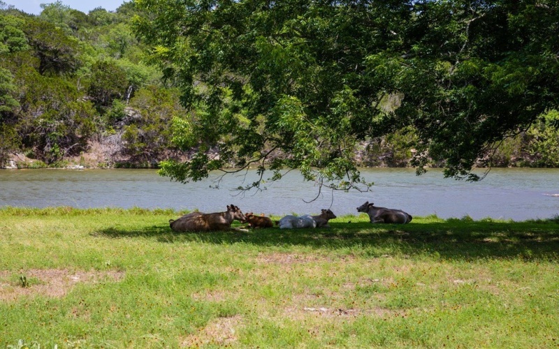 135 Lone Oak, Kerrville, TX 78028, 4 Habitaciones Habitaciones , ,3 BañosBaños,Residential,En Venta,135 Lone Oak,0,120468