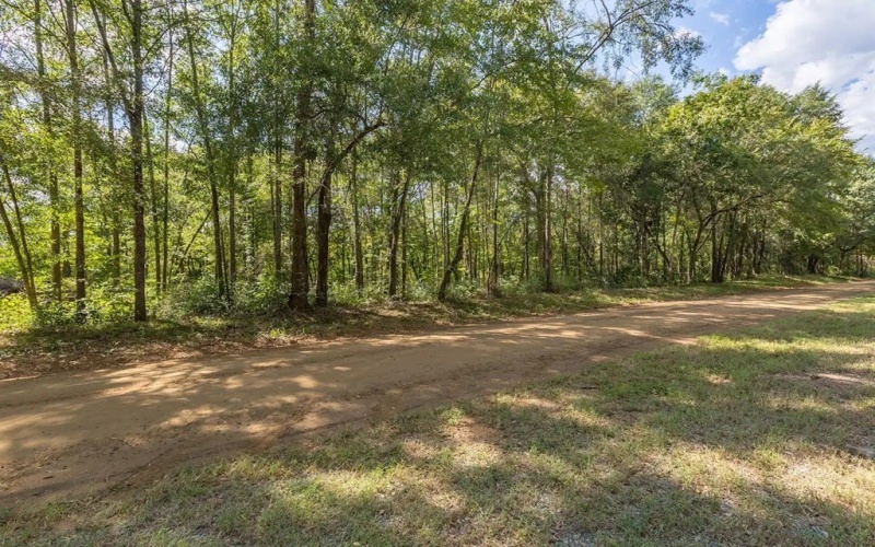 505 CR 3620, Joaquin, TX 75954, 3 Bedrooms Bedrooms, ,2 BathroomsBathrooms,Residential,For Sale,505 CR 3620,0,22501735