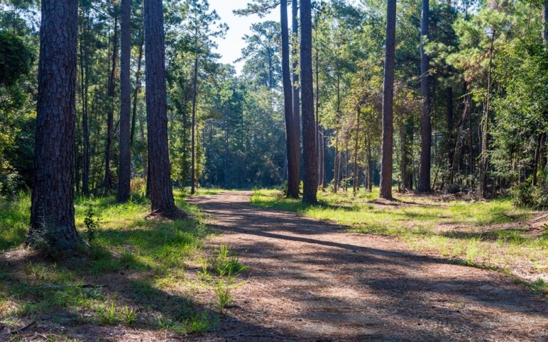 28125 Lot 92 FM 705, Broaddus, TX 75972, 3 Habitaciones Habitaciones , ,2 BañosBaños,Residential,En Venta,28125 Lot 92 FM 705,0,22501751