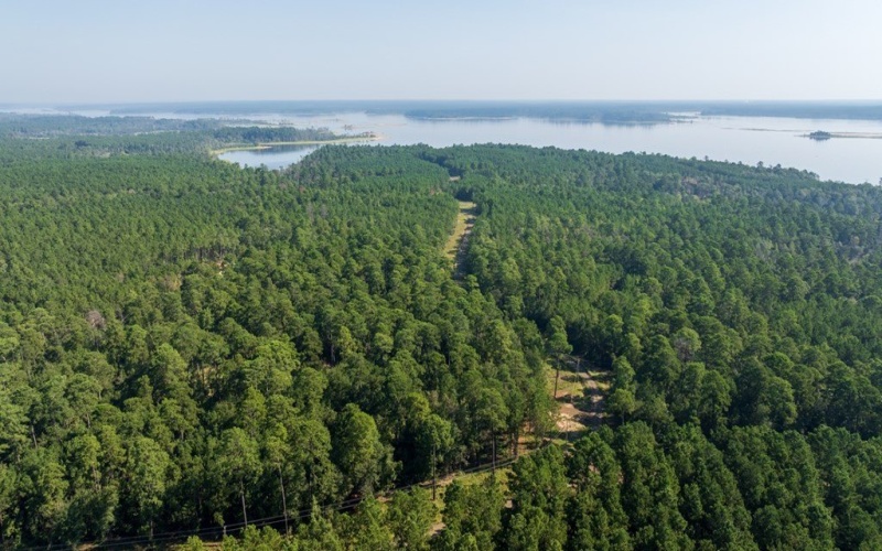 28125 Lot 92 FM 705, Broaddus, TX 75972, 3 Habitaciones Habitaciones , ,2 BañosBaños,Residential,En Venta,28125 Lot 92 FM 705,0,22501751