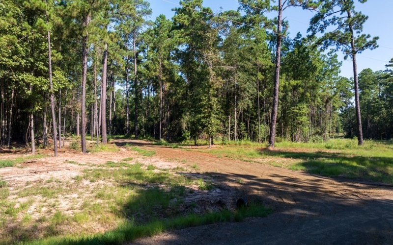 28125 Lot 92 FM 705, Broaddus, TX 75972, 3 Habitaciones Habitaciones , ,2 BañosBaños,Residential,En Venta,28125 Lot 92 FM 705,0,22501751