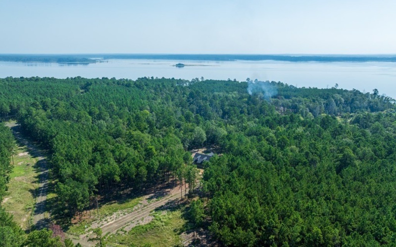 25125 Lot 127 FM 705, Broaddus, TX 75972, 3 Habitaciones Habitaciones , ,2 BañosBaños,Residential,En Venta,25125 Lot 127 FM 705,0,22501752