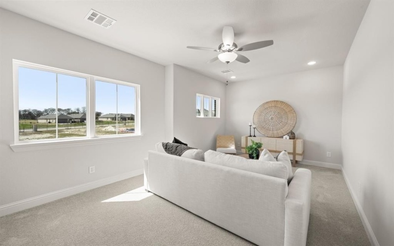 246 Vineyard Lane, Midlothian, TX 76065, 4 Bedrooms Bedrooms, ,3 BathroomsBathrooms,Residential,For Sale,246 Vineyard Lane,0,21079499