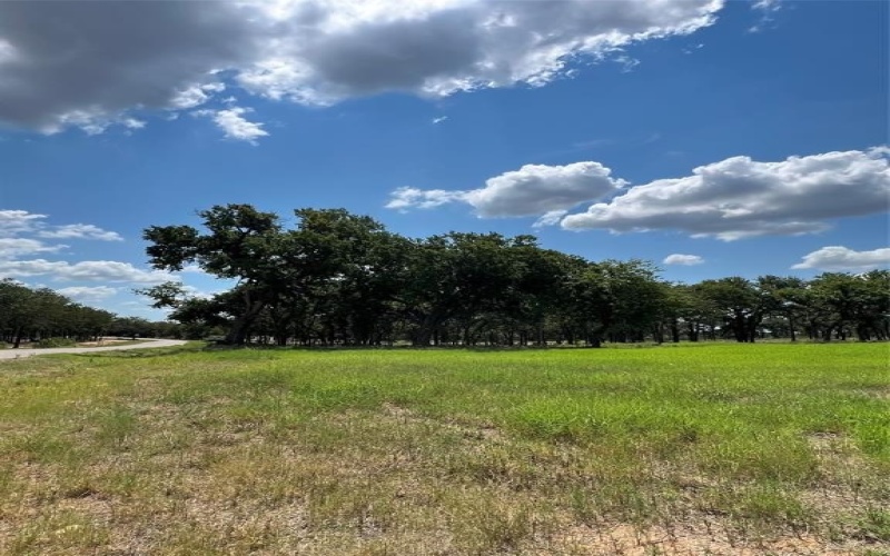 101 Pharris Court, Weatherford, TX 76087, 4 Bedrooms Bedrooms, ,3 BathroomsBathrooms,Residential,For Sale,101 Pharris Court,0,21079092