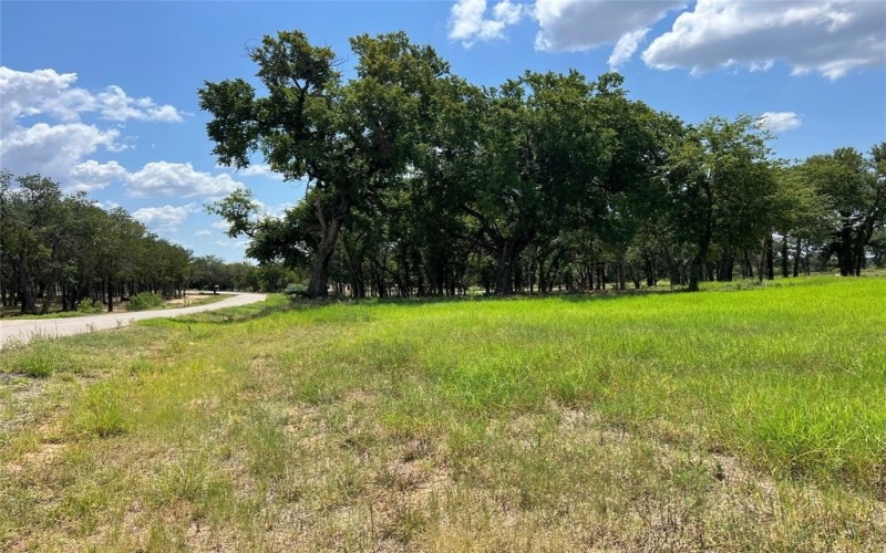 101 Pharris Court, Weatherford, TX 76087, 4 Bedrooms Bedrooms, ,3 BathroomsBathrooms,Residential,For Sale,101 Pharris Court,0,21079092