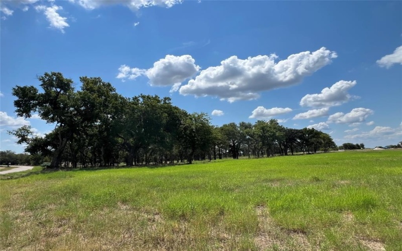 101 Pharris Court, Weatherford, TX 76087, 4 Bedrooms Bedrooms, ,3 BathroomsBathrooms,Residential,For Sale,101 Pharris Court,0,21079092