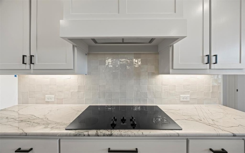 161 Aria Drive, Waxahachie, TX 75165, 4 Bedrooms Bedrooms, ,3 BathroomsBathrooms,Residential,For Sale,161 Aria Drive,0,21080001