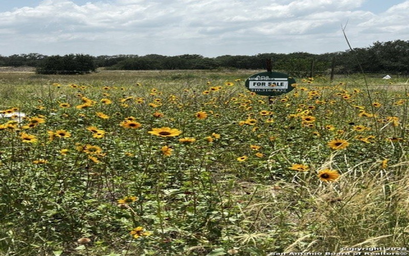 Tbd, Lot 5 Sanctuary Ln, Von Ormy, TX 78073, 4 Bedrooms Bedrooms, ,2 BathroomsBathrooms,Residential,For Sale,Tbd,Lot 5 Sanctuary Ln,0,1913574