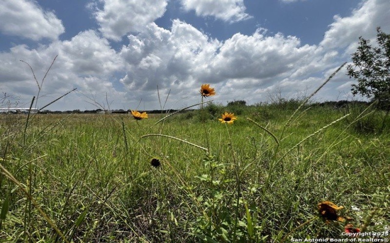 Tbd, Lot 5 Sanctuary Ln, Von Ormy, TX 78073, 4 Bedrooms Bedrooms, ,2 BathroomsBathrooms,Residential,For Sale,Tbd,Lot 5 Sanctuary Ln,0,1913574
