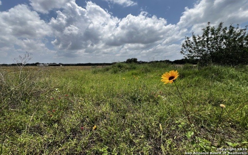Tbd, Lot 5 Sanctuary Ln, Von Ormy, TX 78073, 4 Bedrooms Bedrooms, ,2 BathroomsBathrooms,Residential,For Sale,Tbd,Lot 5 Sanctuary Ln,0,1913574