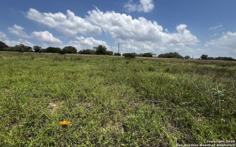Tbd, Lot 5 Sanctuary Ln, Von Ormy, TX 78073, 4 Bedrooms Bedrooms, ,2 BathroomsBathrooms,Residential,For Sale,Tbd,Lot 5 Sanctuary Ln,0,1913574