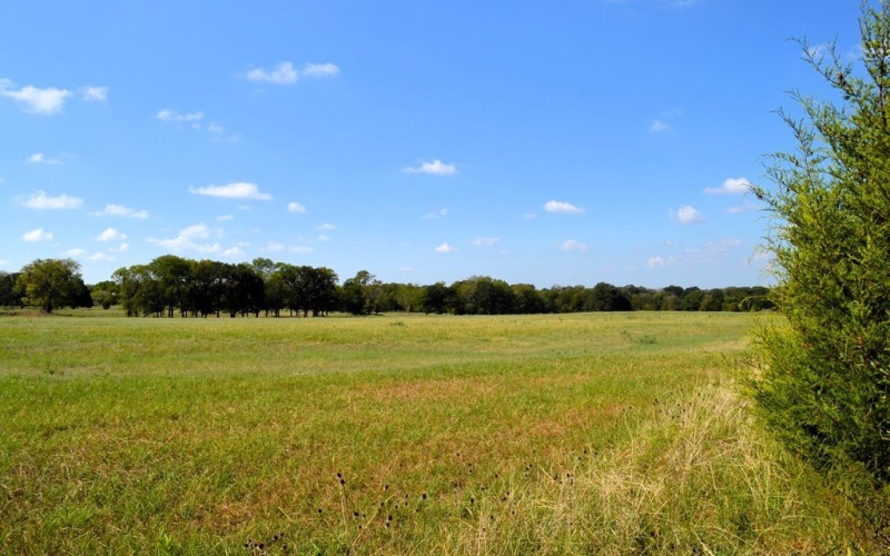 0 VZCR 2702, Mabank, TX 75147, 3 Habitaciones Habitaciones , ,2 BañosBaños,Tierra,En Venta,0 VZCR 2702,0,108156