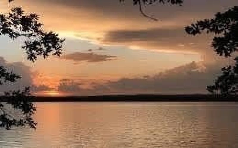 347 Pine Road, Nocona, TX 76255, ,Residential,En Venta,347 Pine Road,0,21081237