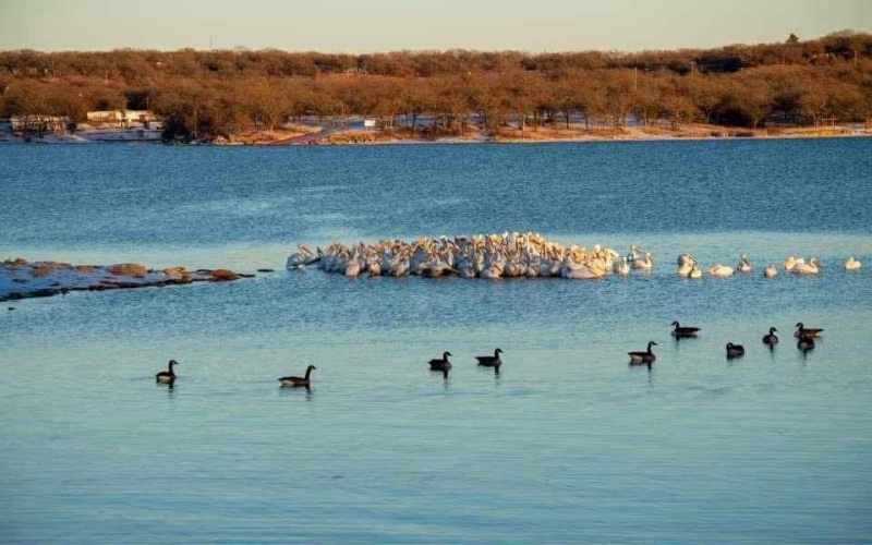 347 Pine Road, Nocona, TX 76255, ,Residential,En Venta,347 Pine Road,0,21081237